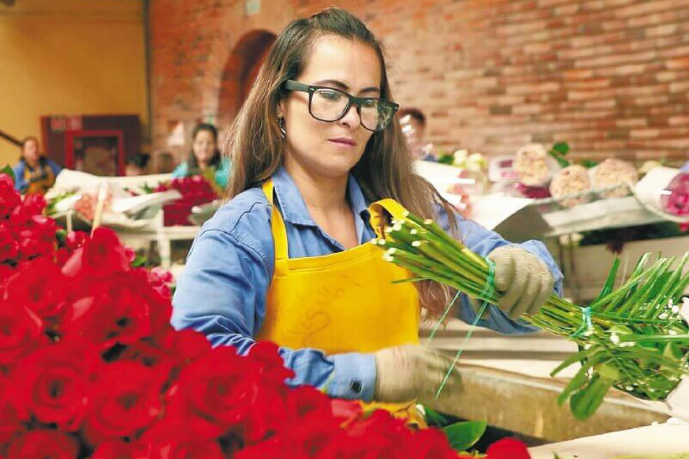 74 % de las flores importadas por Estados Unidos para el Día de la Madre son colombianas
