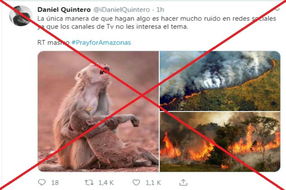 Las fotos engañosas de los incendios en la Amazonia