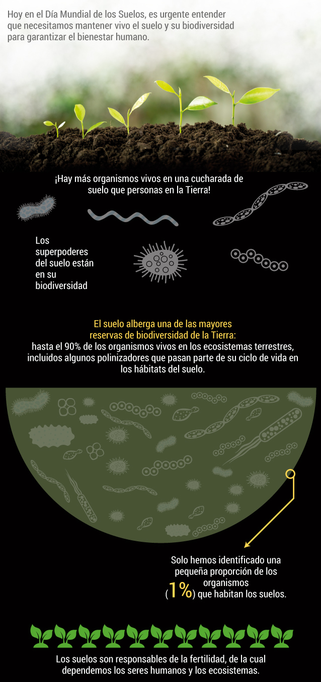 Día Mundial del Suelo 2020
