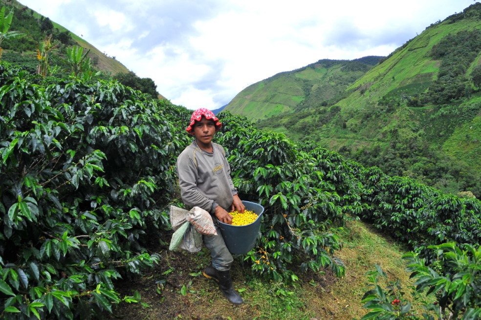 El proyecto de ley contra los campesinos