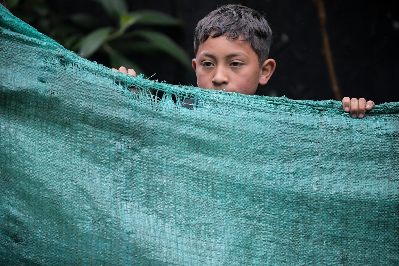 En la zona viven doce de familias campesinas hace varios años en casas informales, construidas con madera y lata, con patos, gallinas, perros, vacas, entre otros animales.