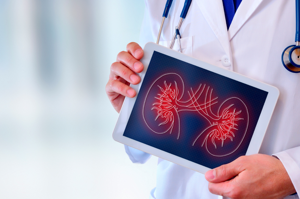 Salud: ¿Cómo comienza la enfermedad renal y por qué las vacunas son fundamentales?