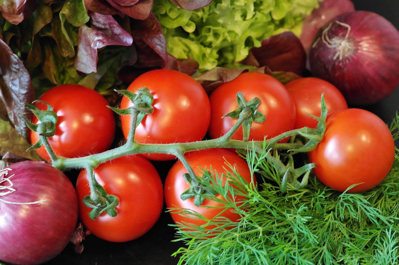 ¿Qué alimentos puedo obtener de mi huerta orgánica?