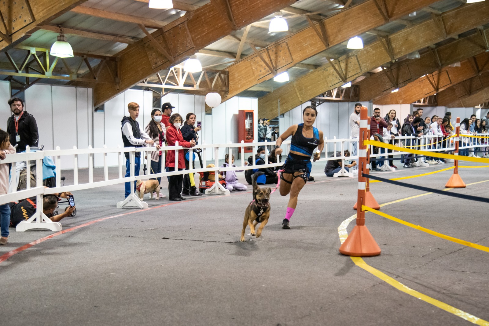 ¿Le gusta correr con su perro? Abren inscripciones para el Campeonato de Canicross