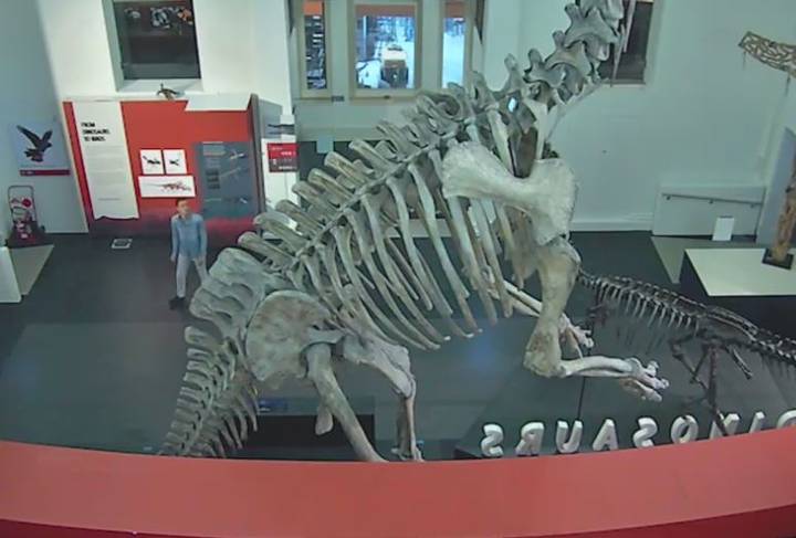 El misterioso hombre que pasó noche en museo de Sídney