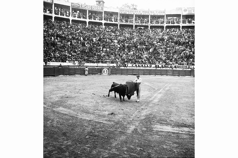 “Manolete” murió como Joselito: texto de Guillermo Cano
