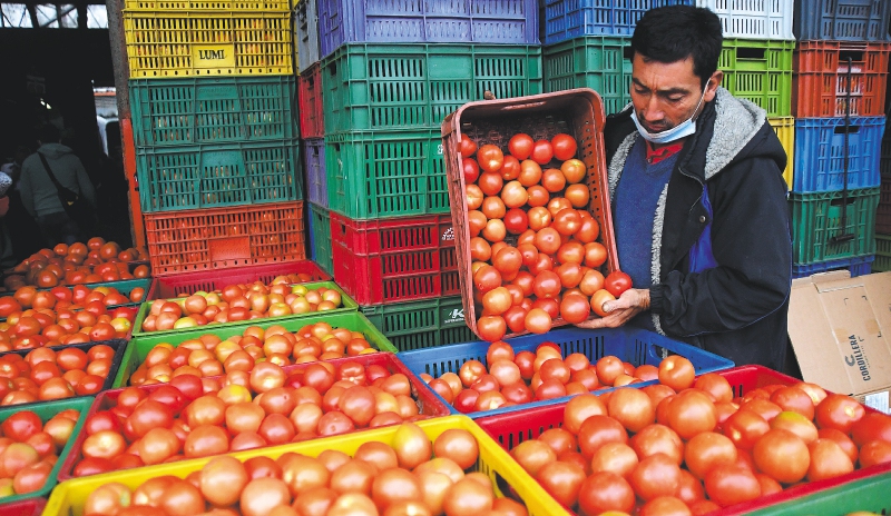 Hambre, cambio climático y precios: los desafíos de la alimentación en Colombia