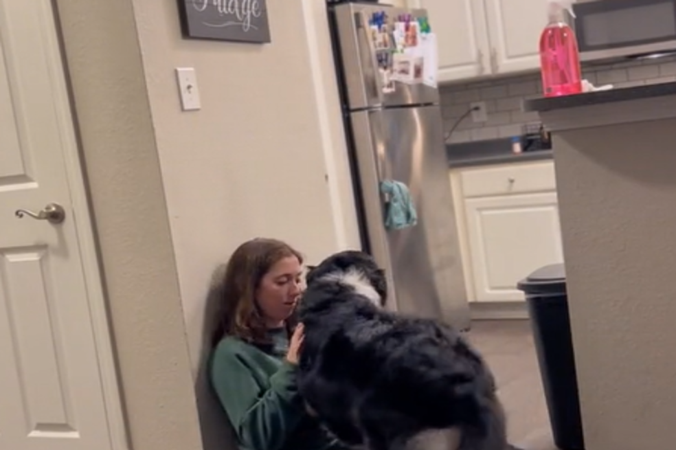 (VIDEO) Perro ayuda a su dueña en medio de un ataque de taquicardia