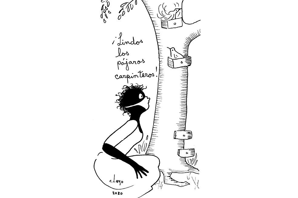 Nieves