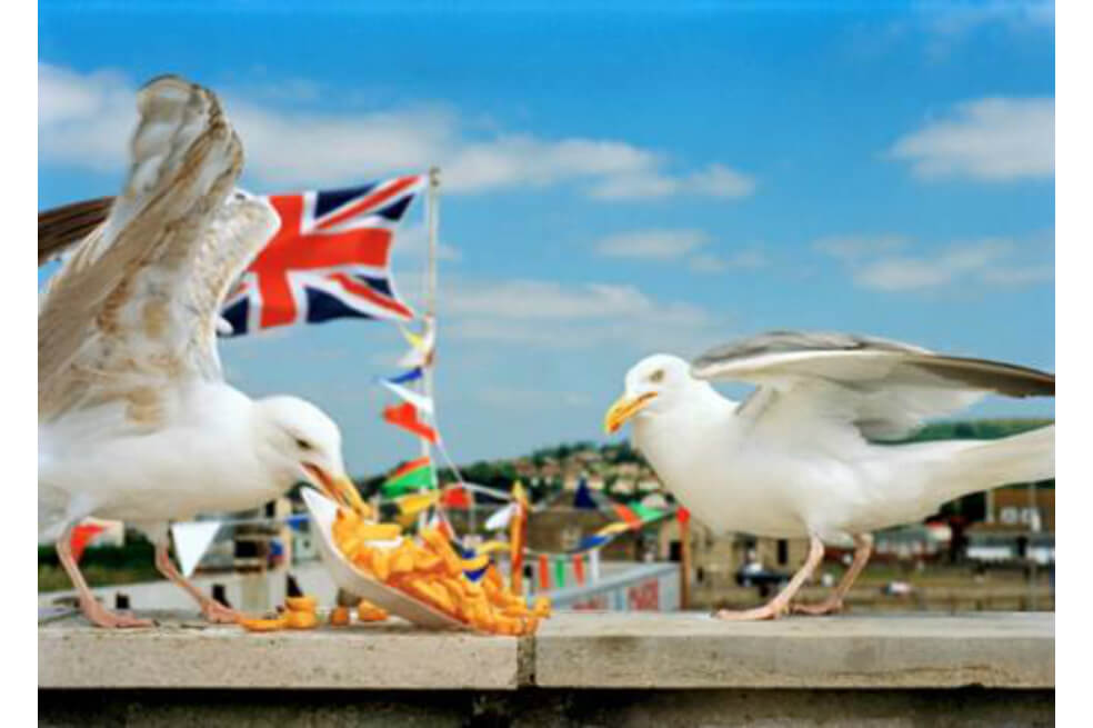 Las fotografías de Martin Parr estarán en el Museo de Arte Miguel Urrutia