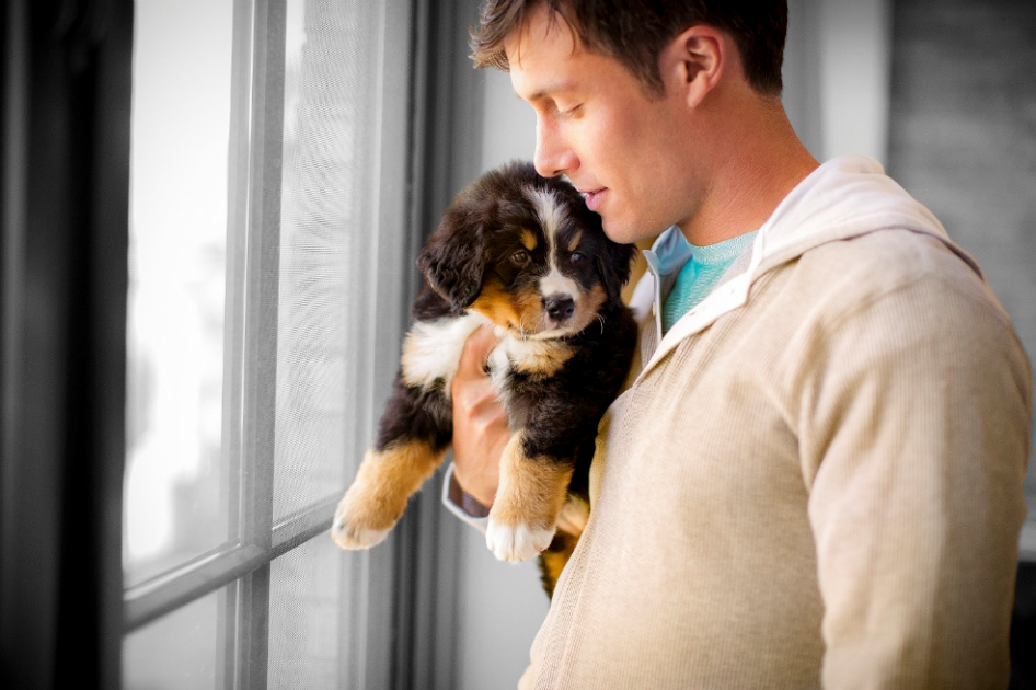 Conozca los beneficios para la salud de tener un perro en casa