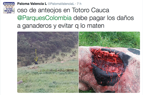 Parque Nacionales responde polémico tuit de Paloma Valencia