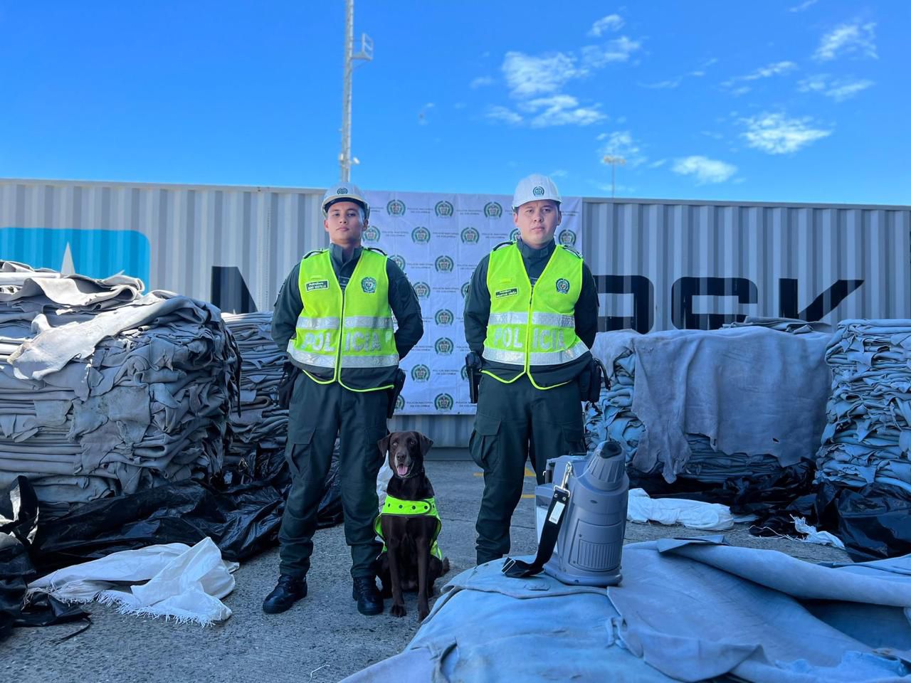 Canino detectó más de 900 kilos de cocaína impregnados en cuero de vaca