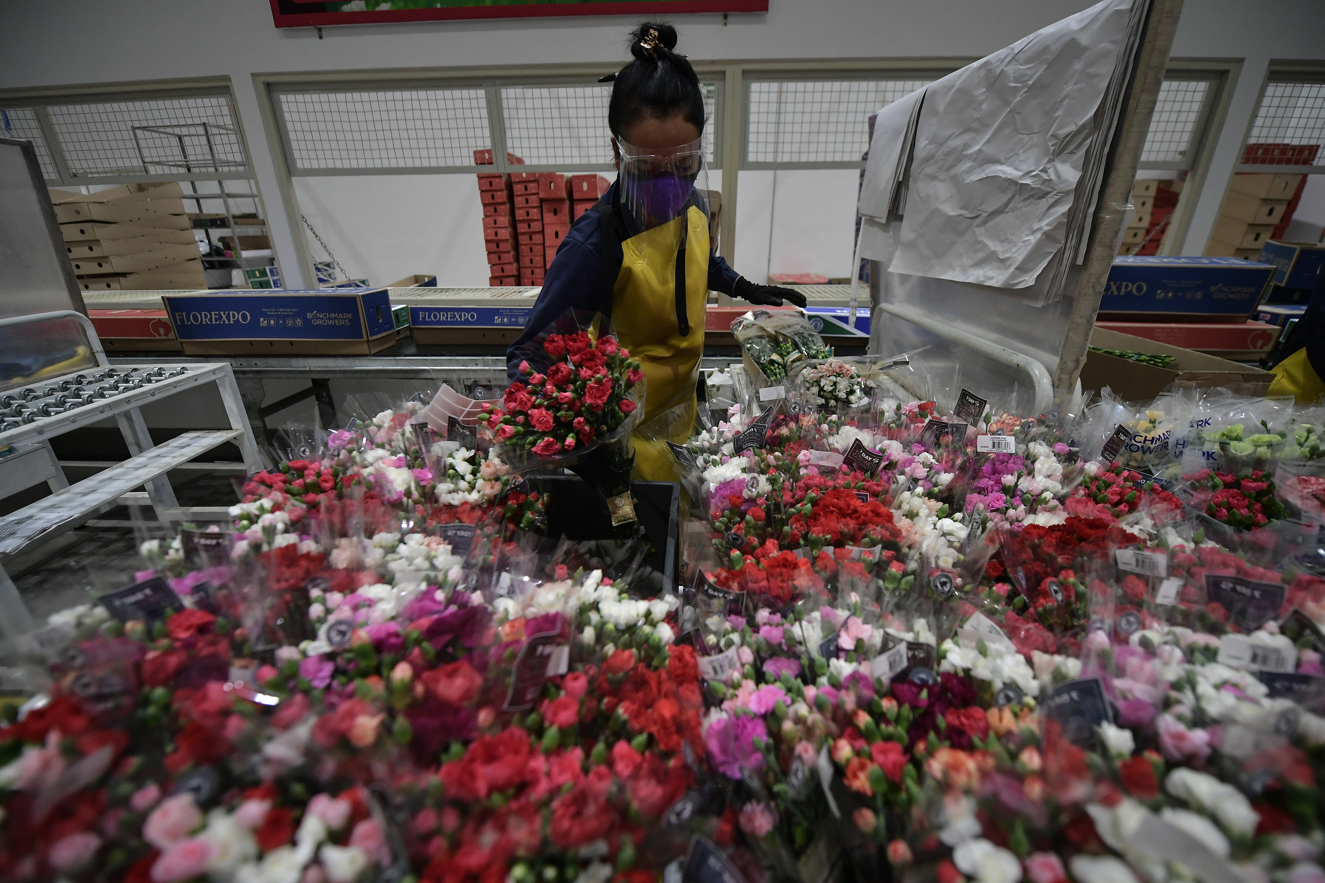 Flores que enamoran: cautivan hasta a quienes las cultivan