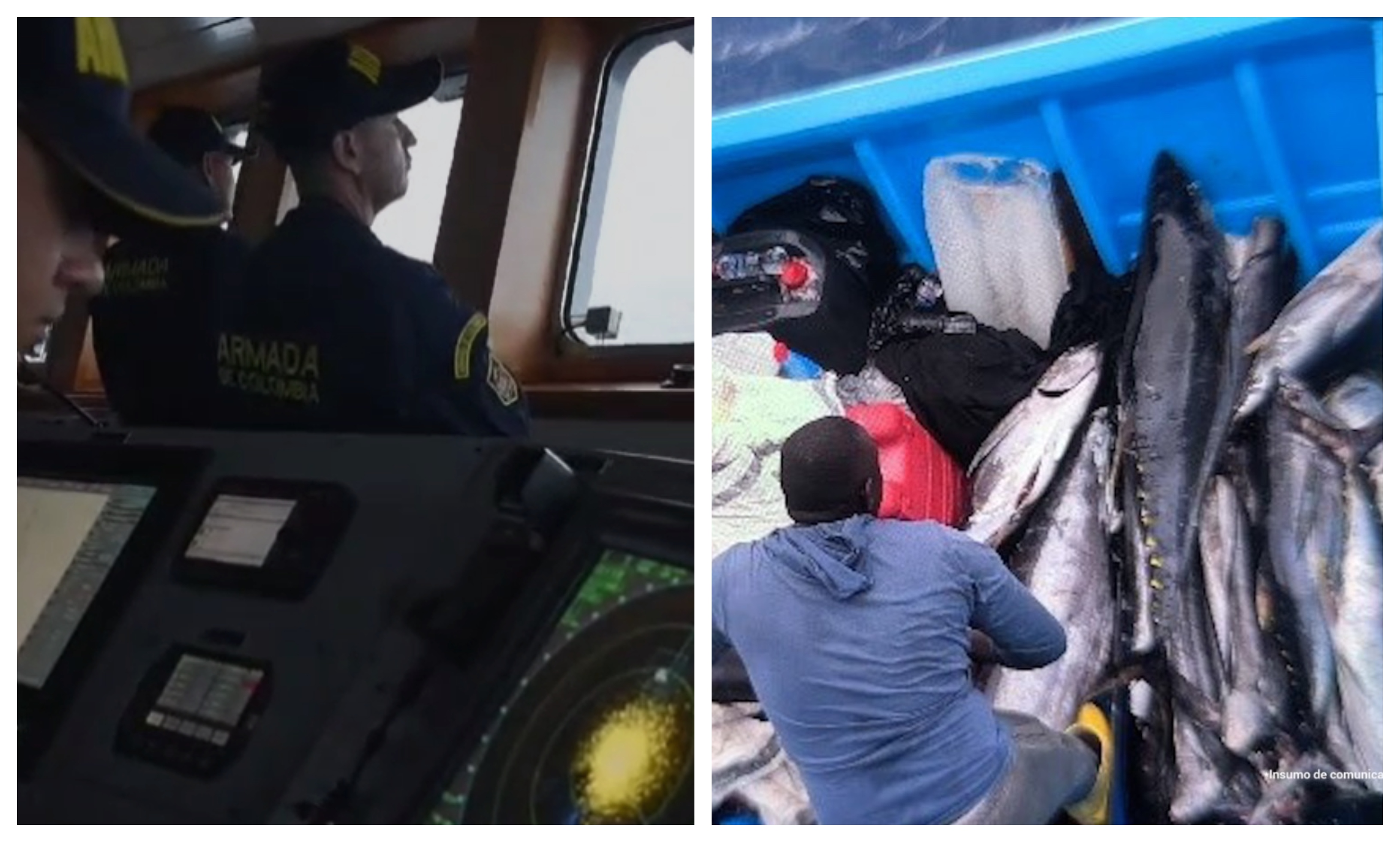 Capturan ecuatorianos en Isla Malpelo por pescar especies en vía de extinción