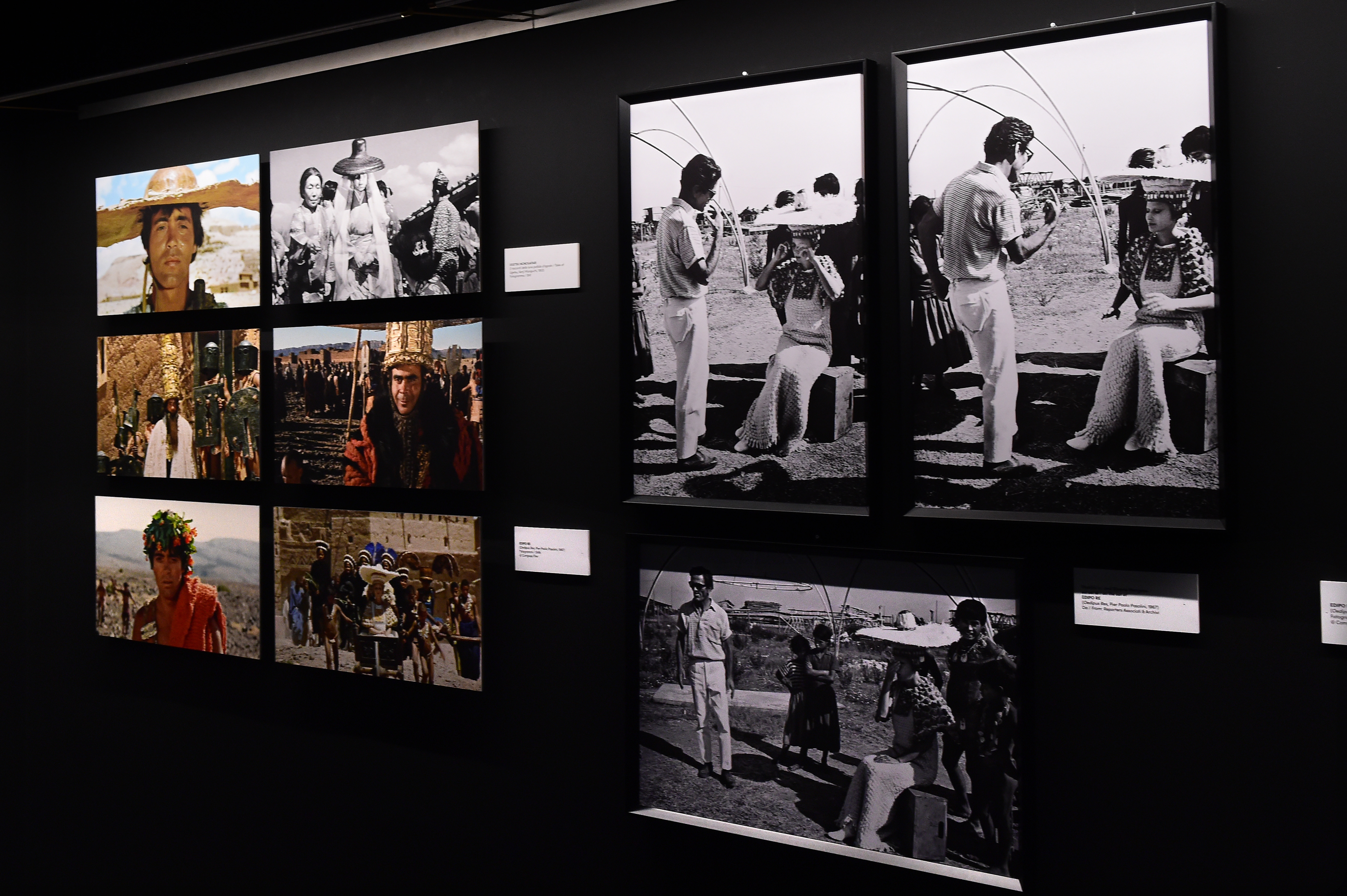Galería sobre el natalicio de Pier Paolo Pasolini.