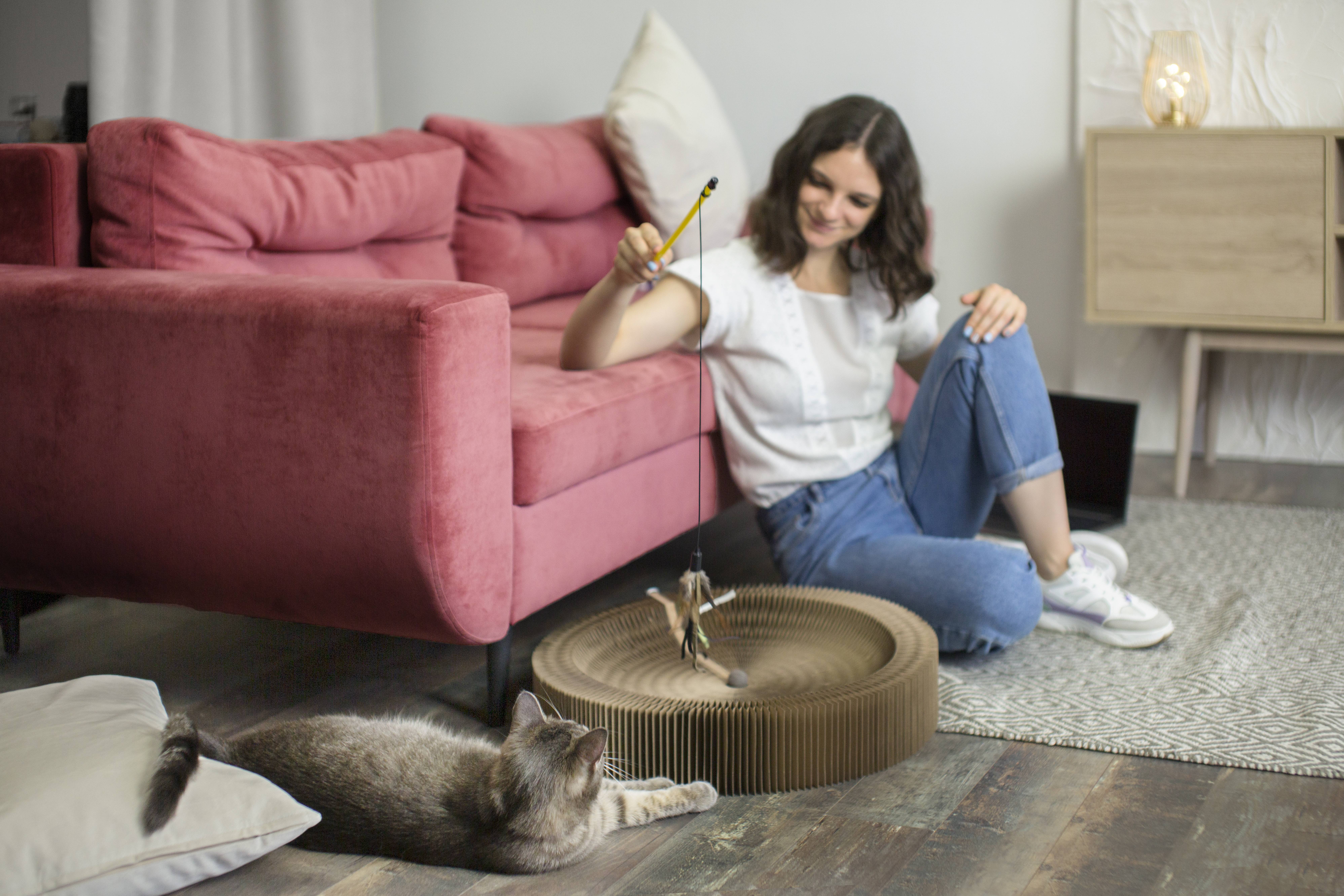 ¿Cómo saben los gatos dónde viven y cuál es su casa?