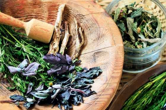 Cuba reconoce la medicina natural y tradicional como una especialidad médica