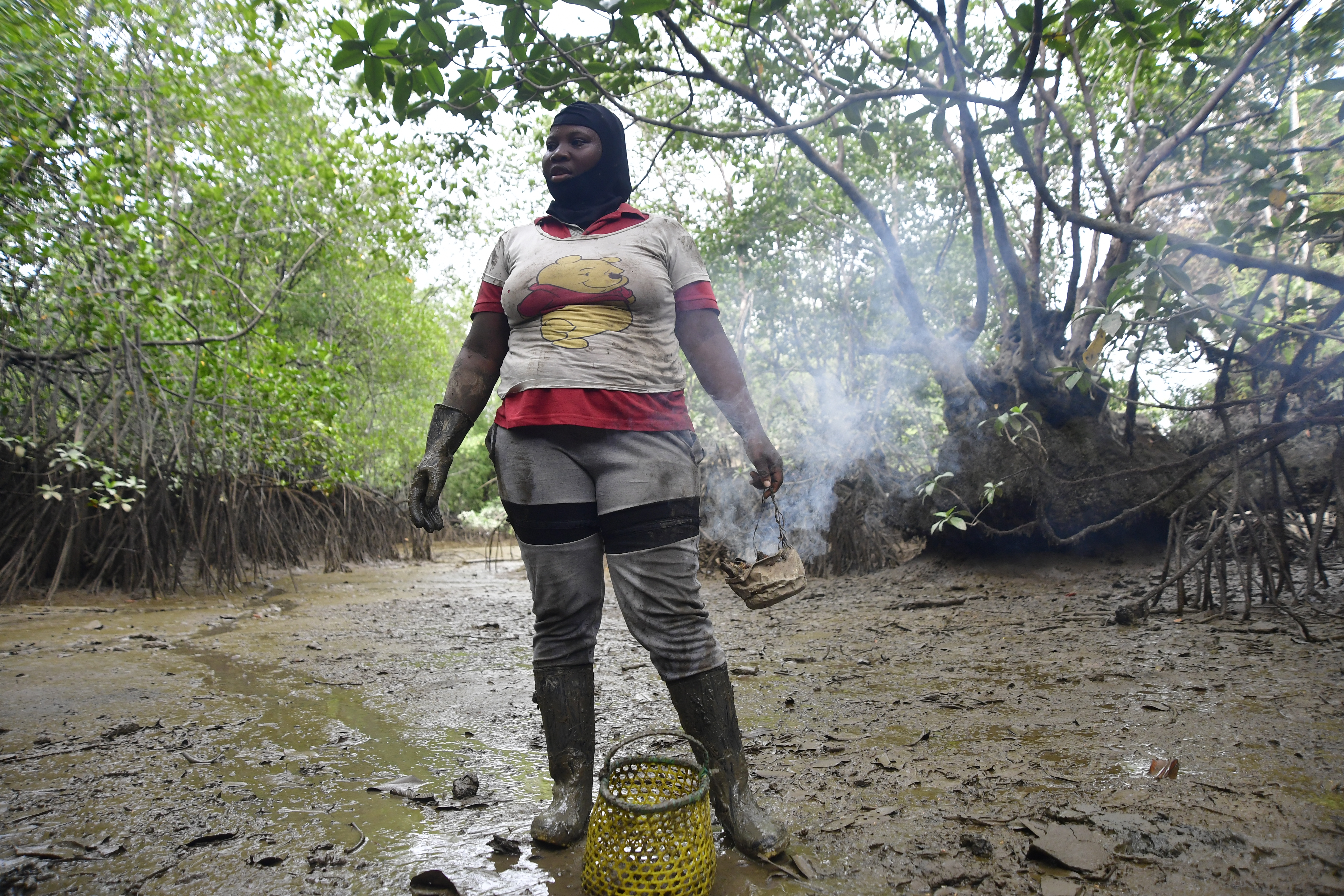 Encargadas del cuidado y manejo del ecosistema en los sitios del manglar donde se lleva a cabo la extracción de la piangua en Buenaventura.
