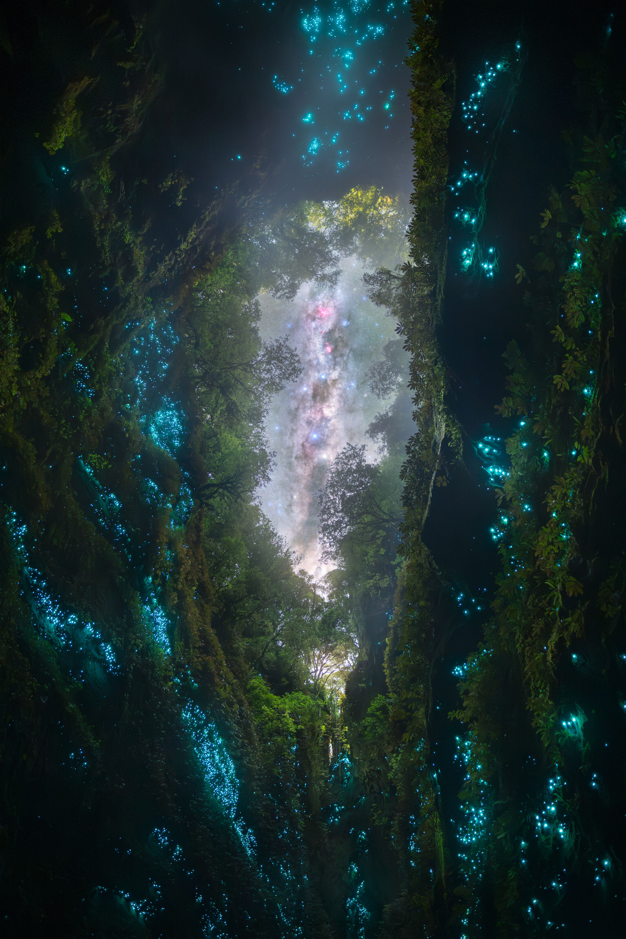 Estas imágenes se captaron tras descender en rapel más de 100 metros (330 pies) en vertical hasta un extenso sistema de cuevas de la Isla Norte de Nueva Zelanda, por la noche. La caverna cobraba vida por la noche gracias a las luciérnagas y a sus frágiles ecosistemas, un espectáculo de otro mundo oculto en lo más profundo de un paisaje moldeado a lo largo de millones de años. Fotografiar este entorno por la noche supuso un reto increíble. La humedad extrema, la tenue luz de las luciérnagas y las largas exposiciones llevaron mis habilidades al límite.