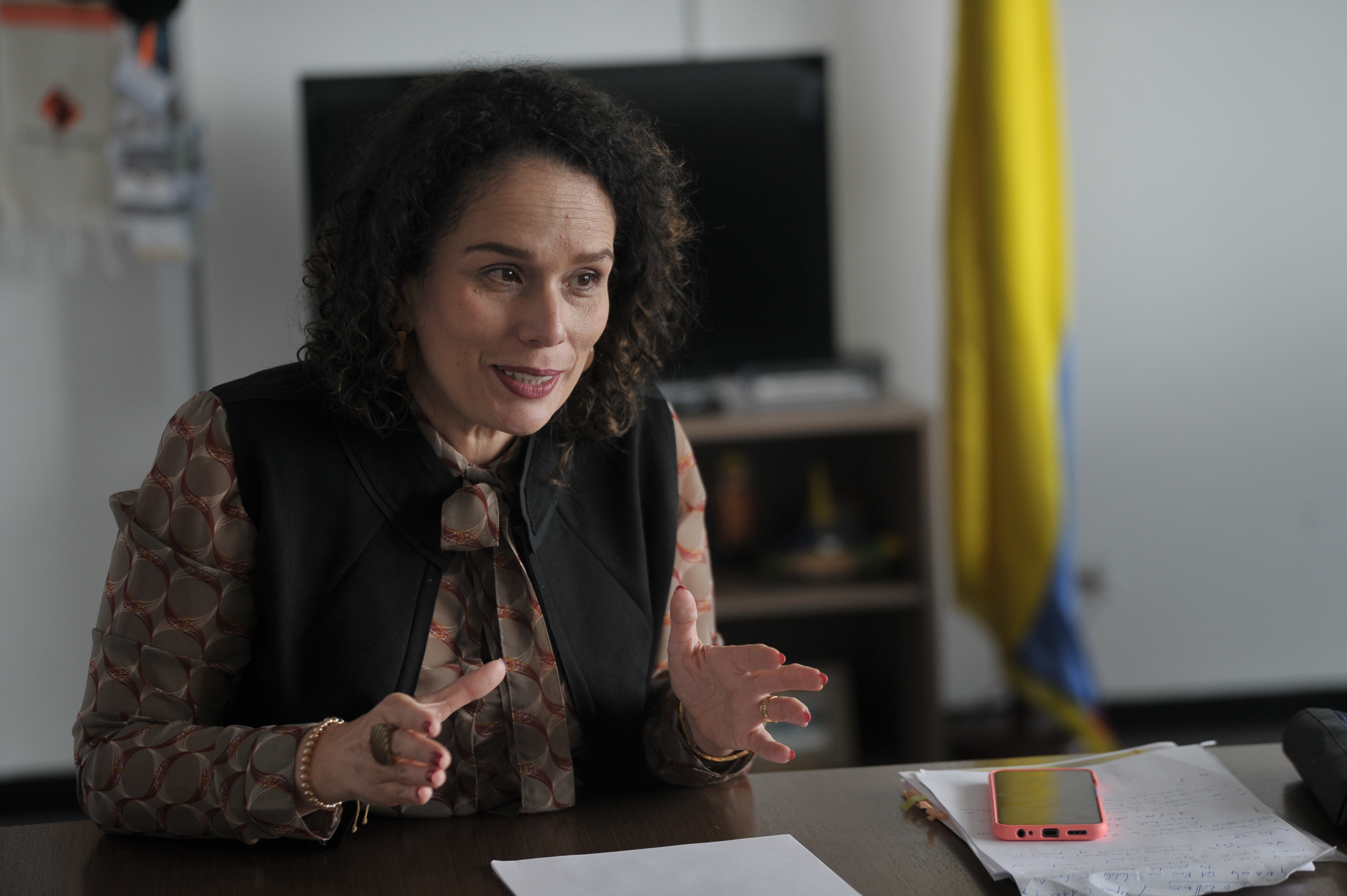 Viceministra de Infraestructura