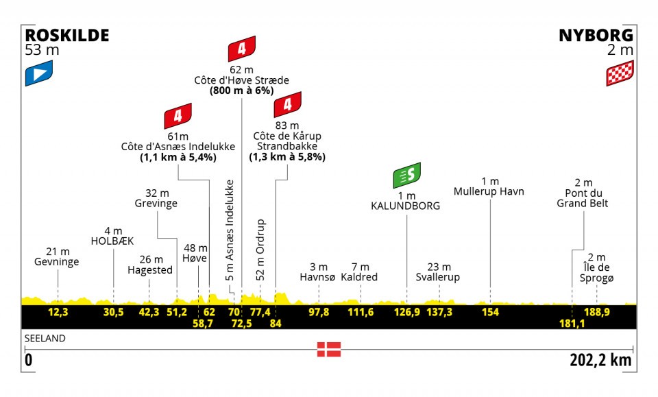 Etapa 2 del Tour de Francia 2022