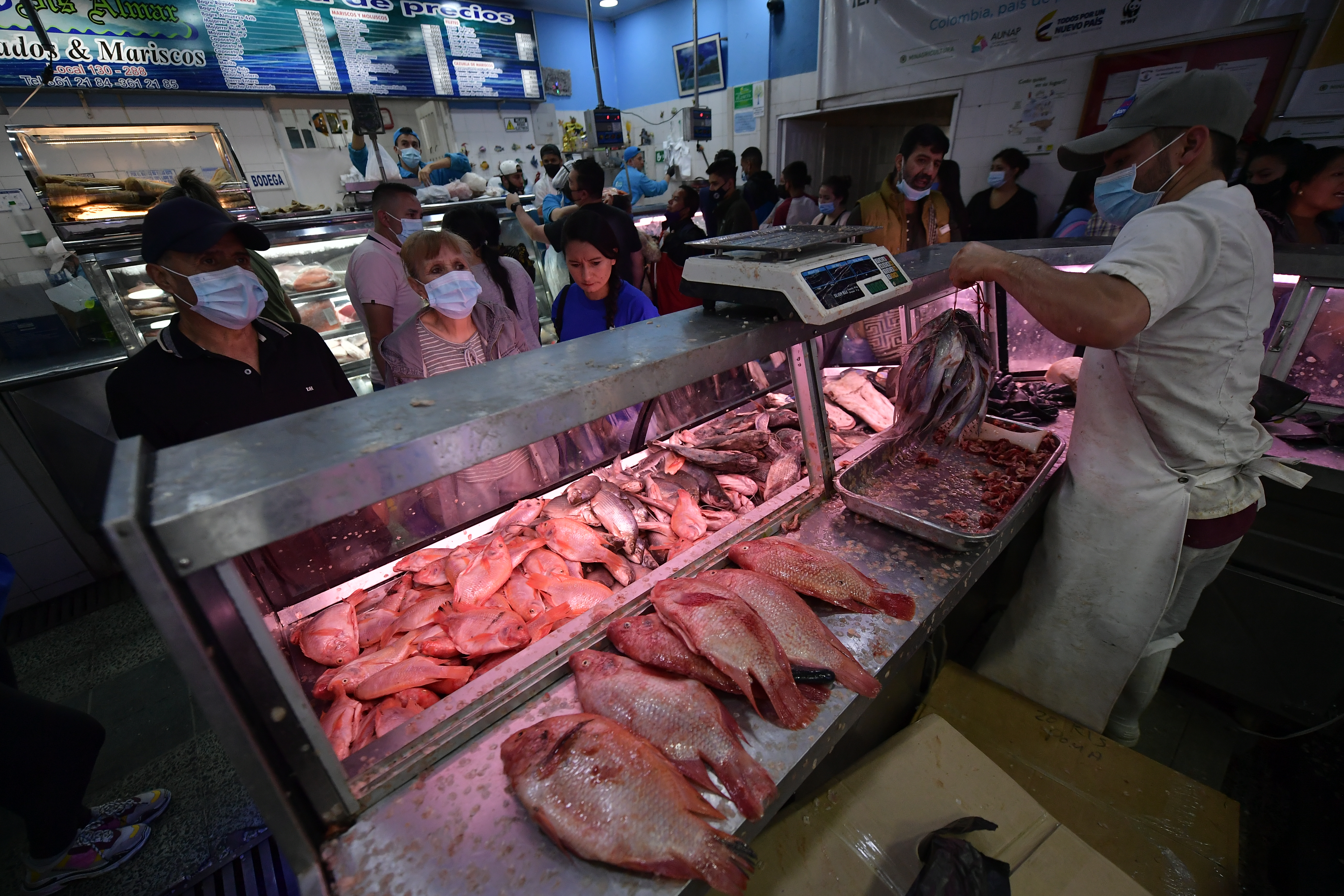 En Semana Santa se comercializarán más de 28.000 toneladas de pescado en Colombia