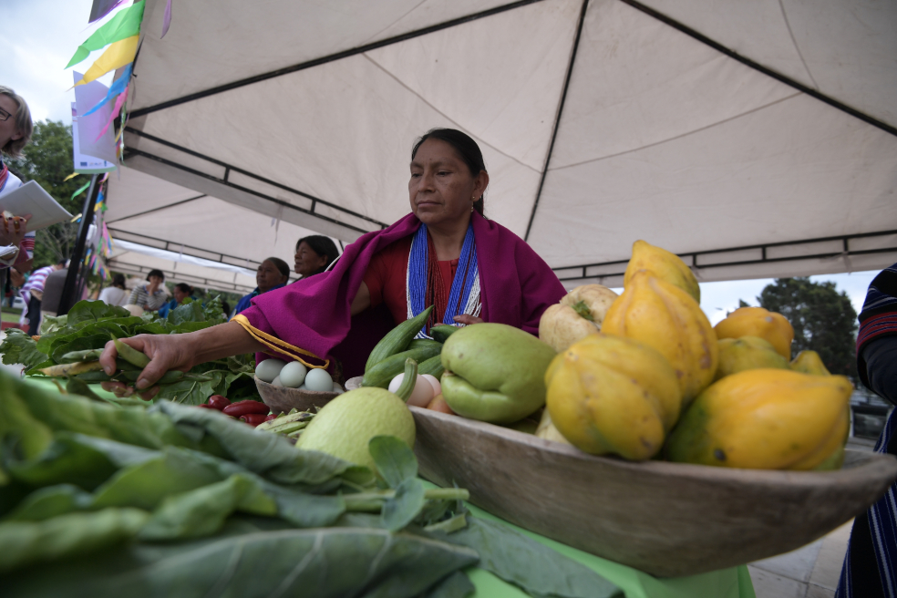 El proyecto Rural Paz realiza mercados locales con las mujeres indígenas de la organización Renacer (de Putumayo), para que expongan sus productos y su cosmovisión. / Mauricio Alvarado