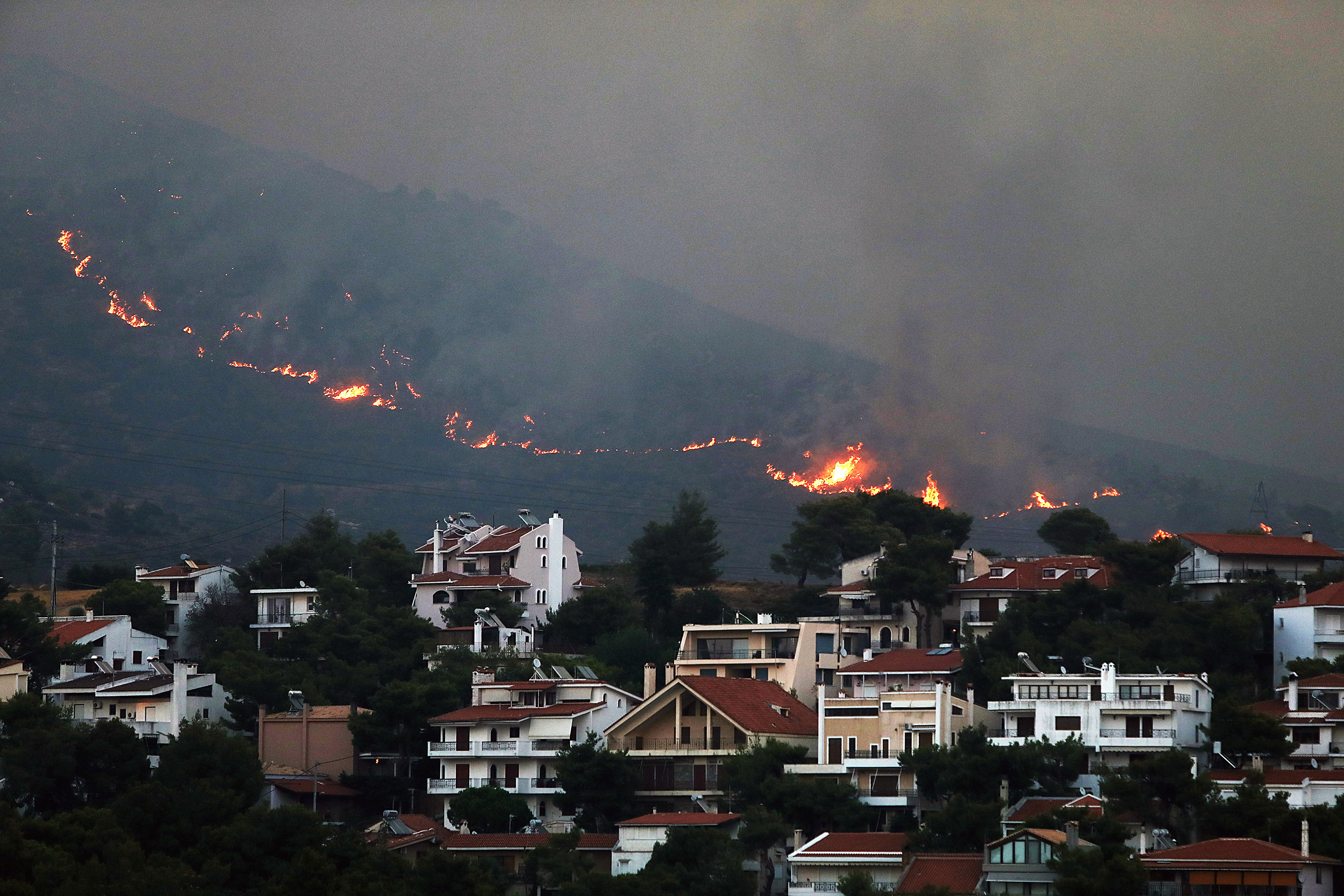 Rabia y miedo en Grecia por la gestión de los incendios forestales
