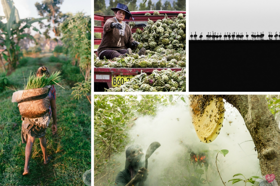 Fotos gastronómicas de 2018 que hacen honor al medio ambiente