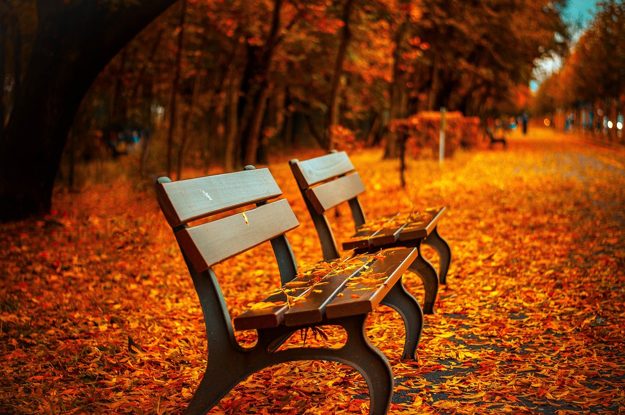 Nueve destinos imperdibles para disfrutar de la época de otoño