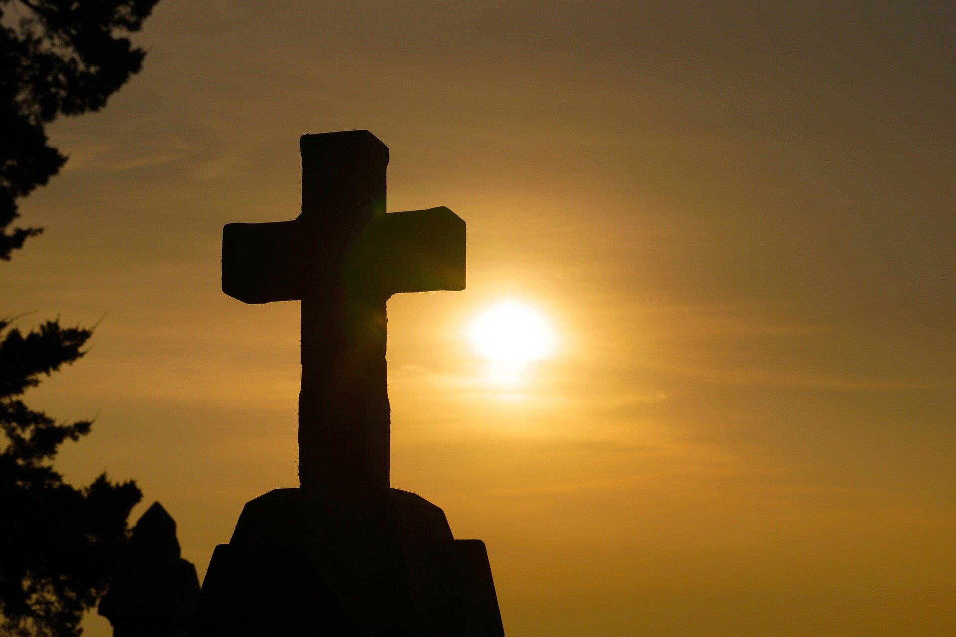 Los Legionarios de Cristo publican 27 casos de abusos tras escándalo interno