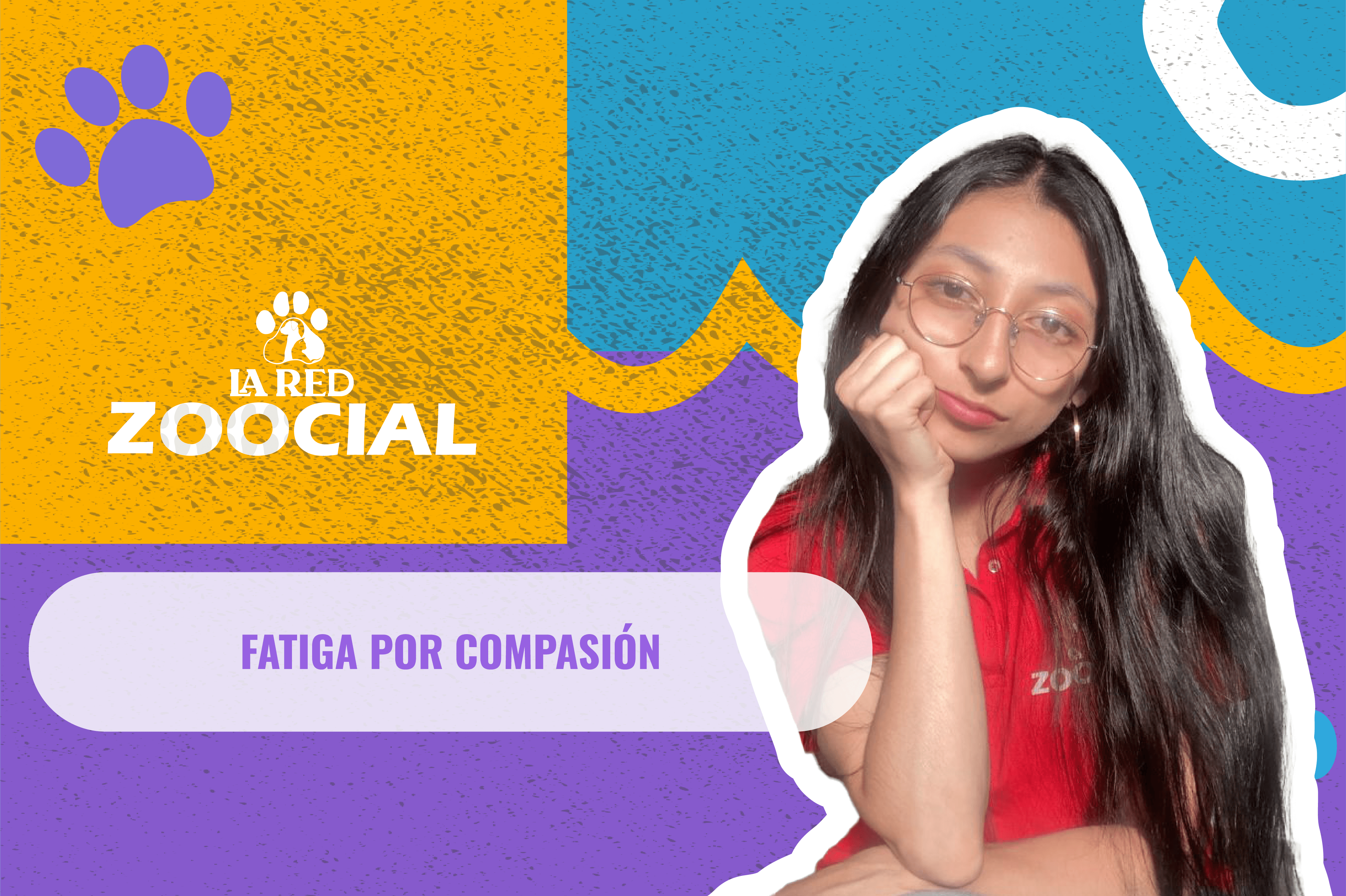¿Qué es la fatiga por compasión, el trastorno que afecta a veterinarios?