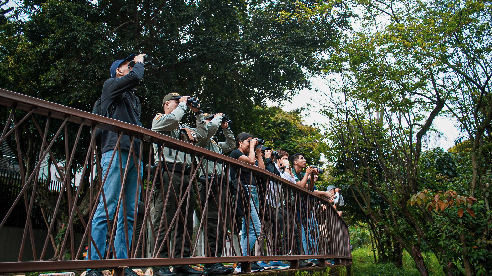 ¿Cómo conectar la biodiversidad con las ciudades? 