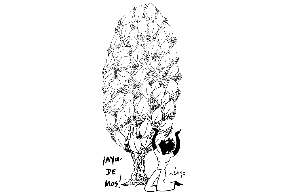Nieves