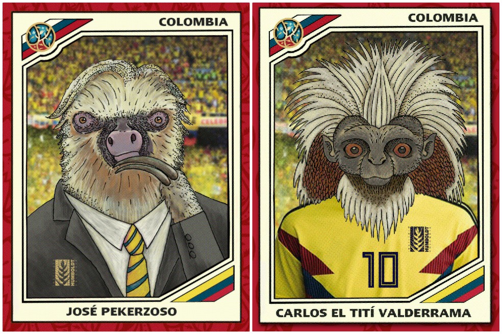 El Humboldt presenta su once ideal, el equipo de fútbol de la biodiversidad