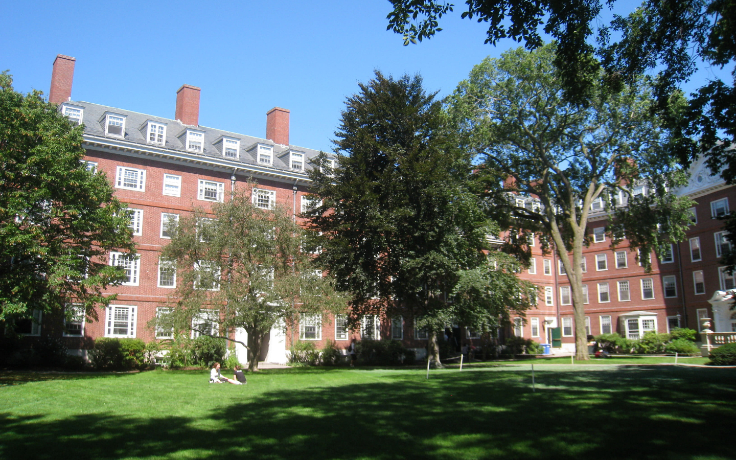 Cursos gratis en Harvard: así puede estudiar sin costo y por internet