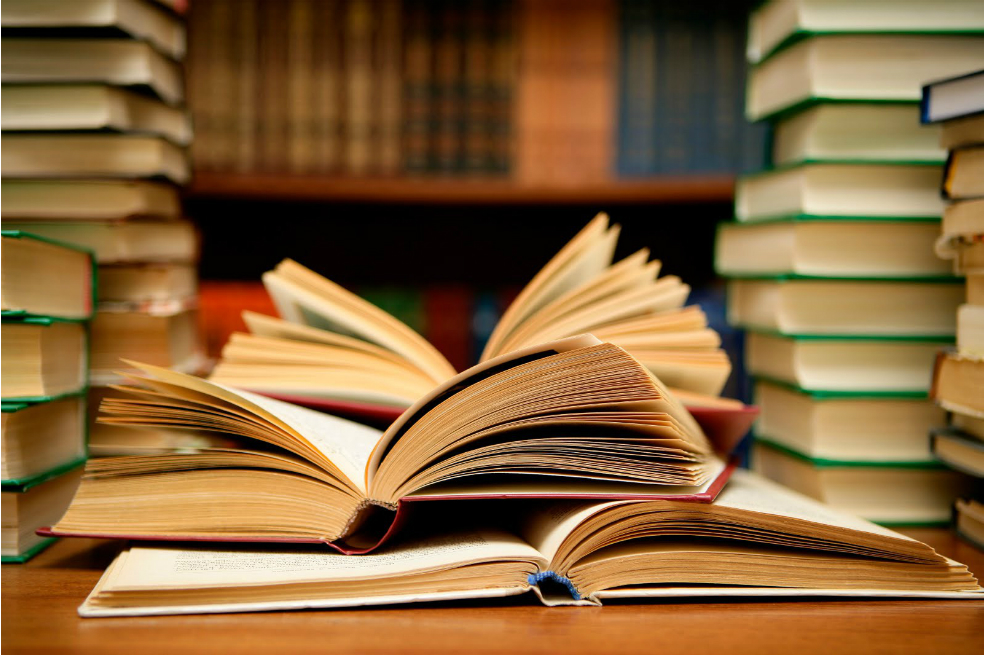 La literatura debe ser pilar de la educación, según el escritor Paco Ardit