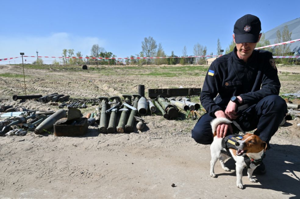 Patron, el perro que ha detectado más de 200 explosivos en Ucrania, fue condecorado