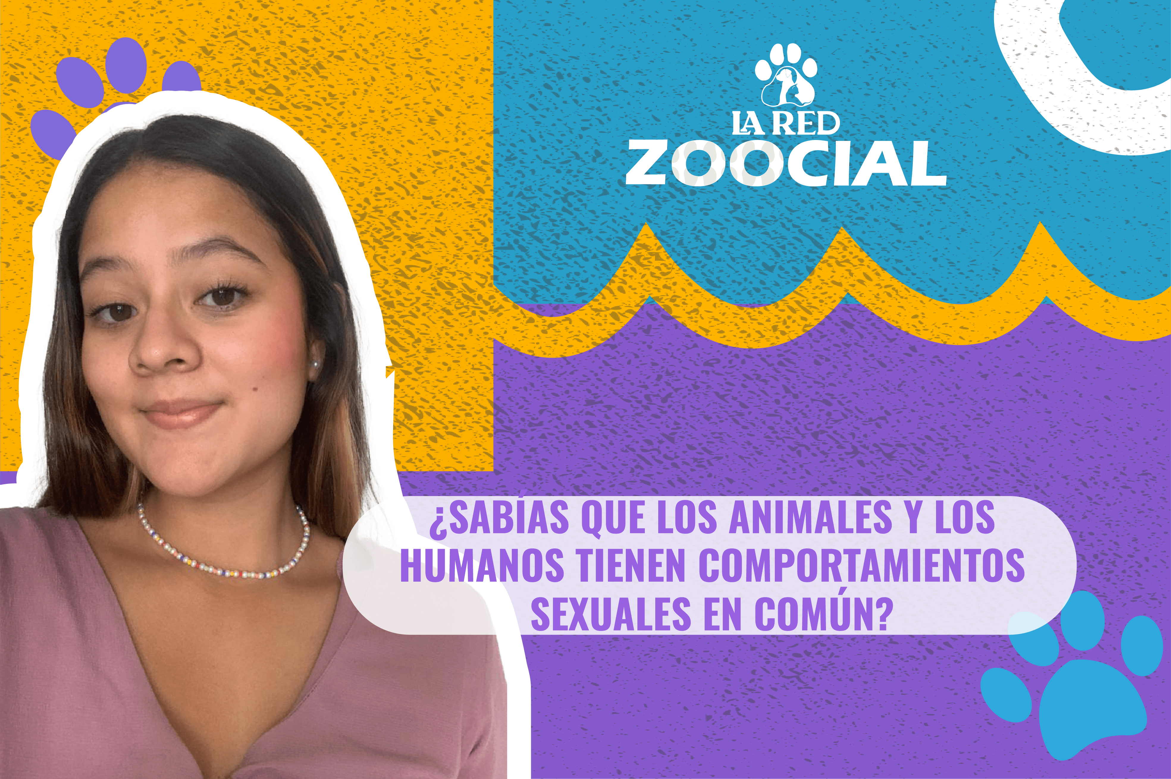 ¿Sabía que animales y humanos tienen comportamientos sexuales en común?