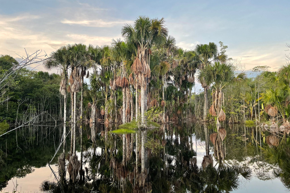 Llega a la cinemateca la película “Amazonas, el río más largo del mundo”