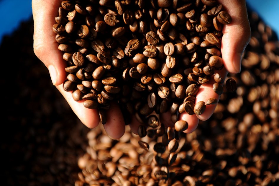 Licores y café, productos colombianos premiados internacionalmente
