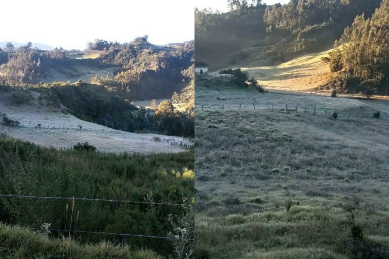 Cultivadores de Cundinamarca, a prepararse ante la llegada de las heladas