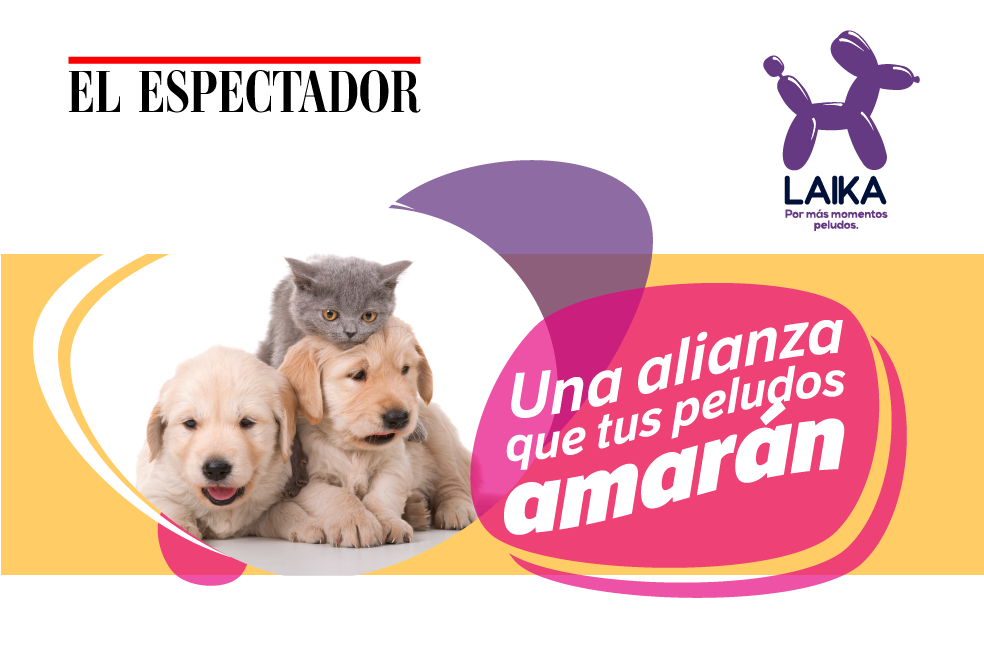 Descuentos, eventos y tips de bienestar para tu mascota con Laika.
