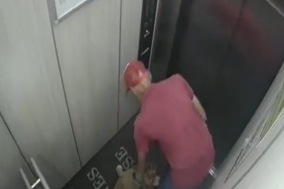 ¡Indignante! Graban a paseador mientras maltrataba a un perro en Barranquilla