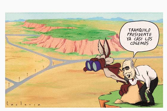 El coyote de defensa