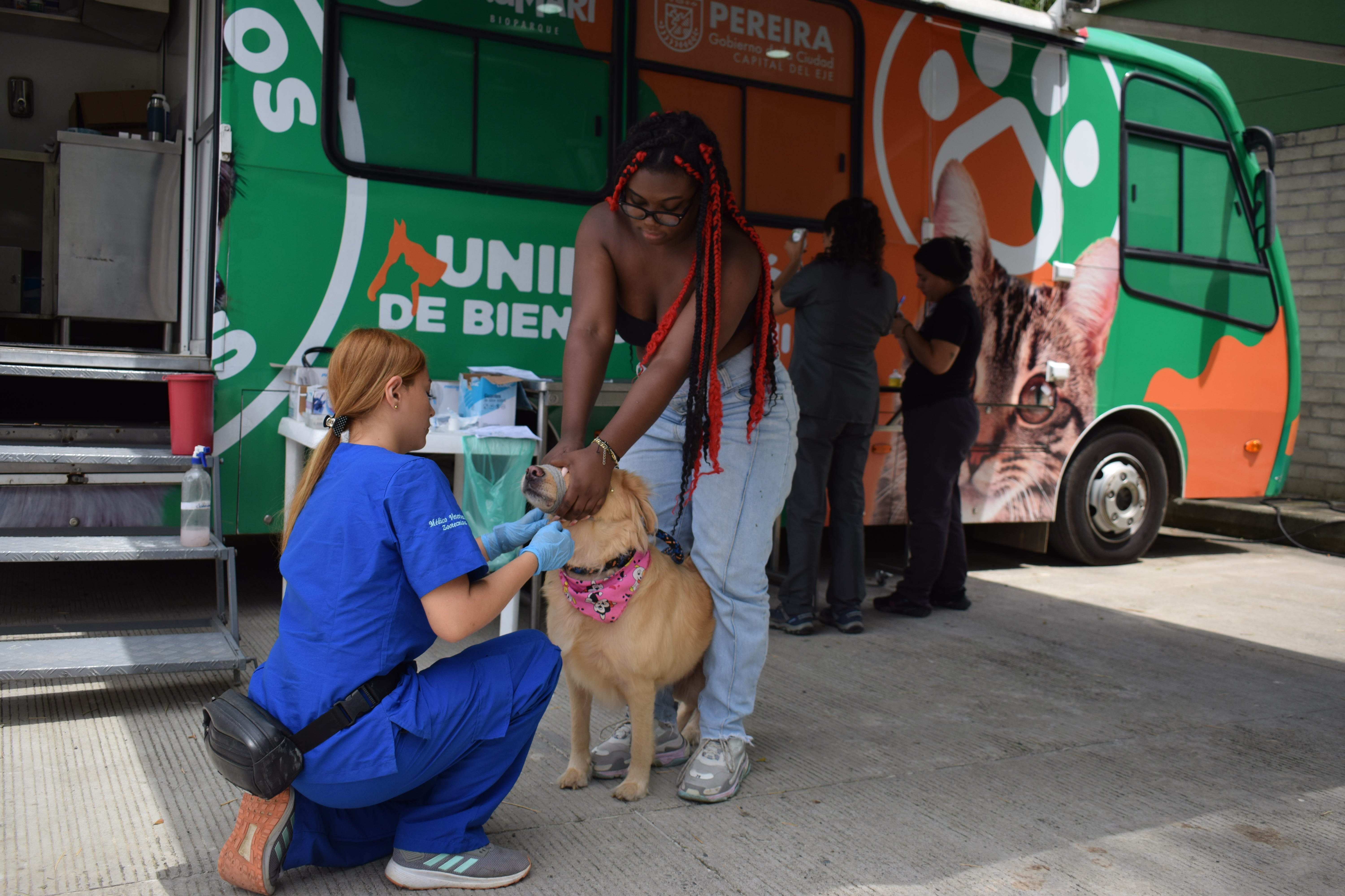 Así es Pelulandia, el centro de bienestar animal de Pereira.