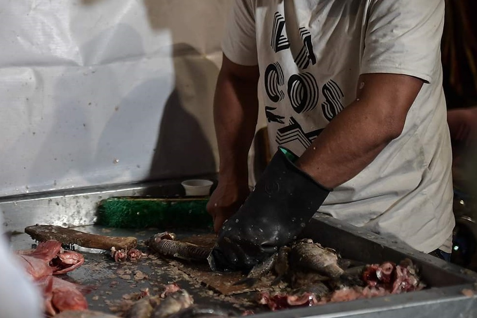 Si usted va a comprar pescado, verifique que las agallas de los pescados estén húmedas y de color rojo brillante.