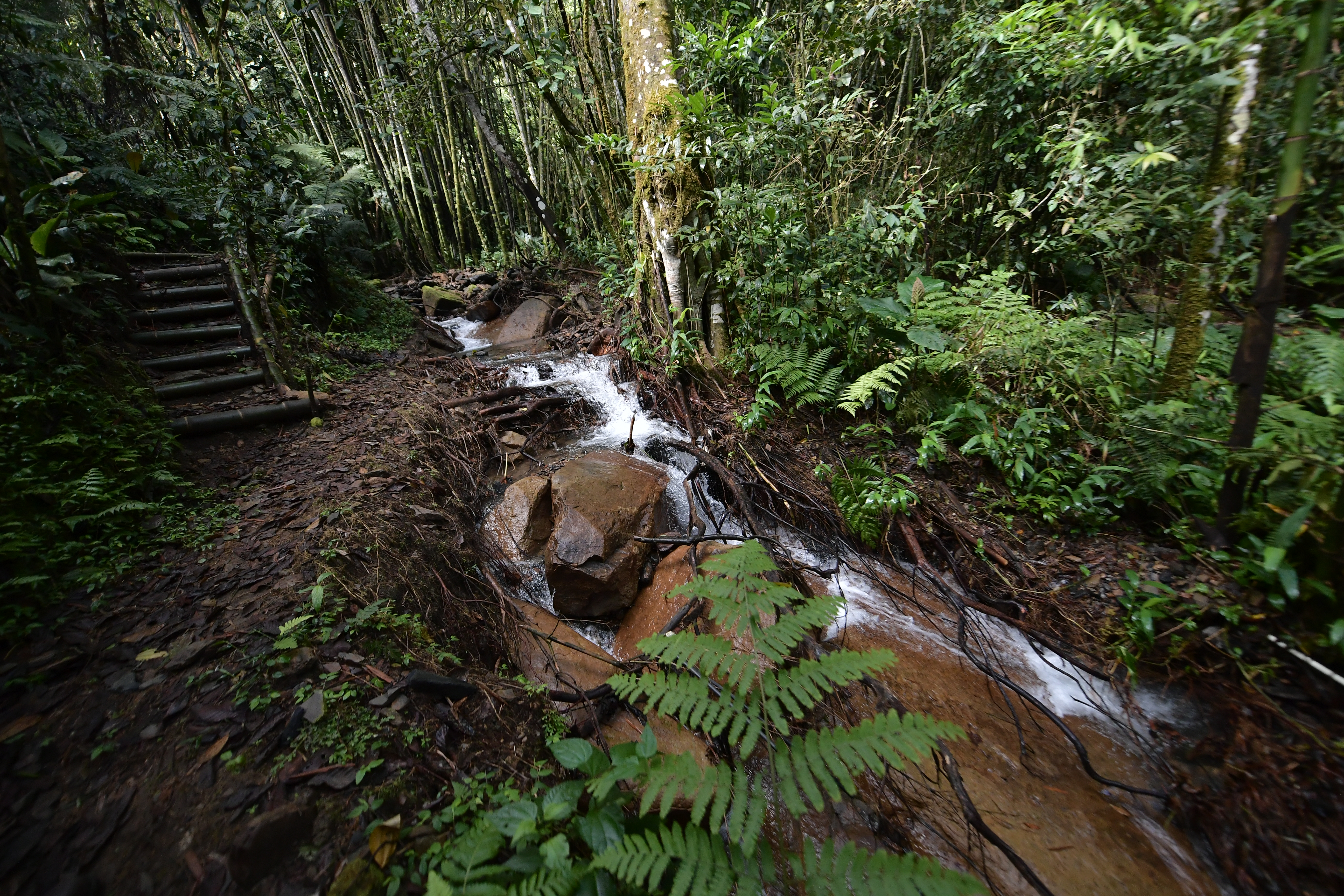 Reserva Natural Paraíso Andino ubicado en La Vega Cundinamarca