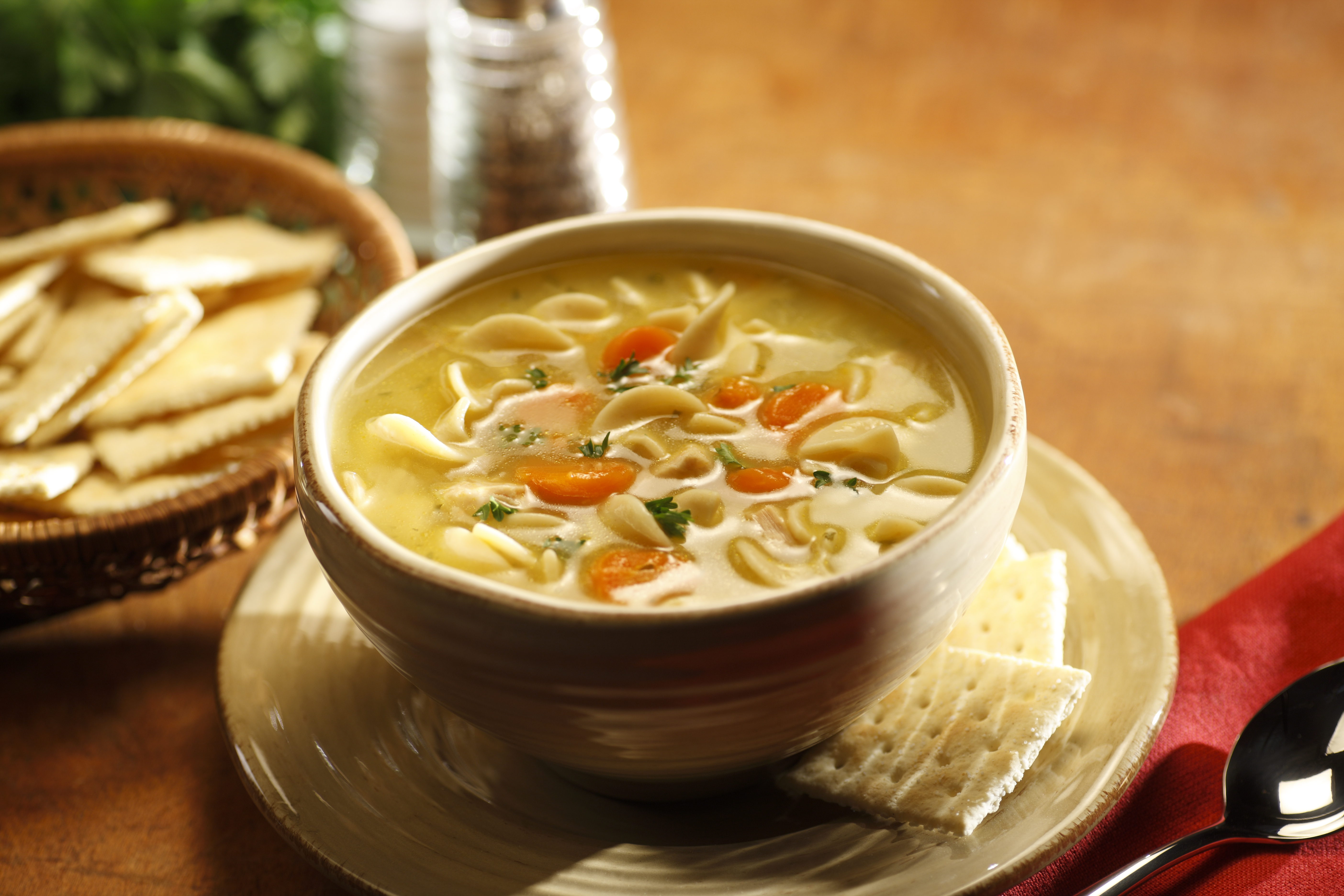 Este es el paso a paso para preparar una “chicken noodle soup”